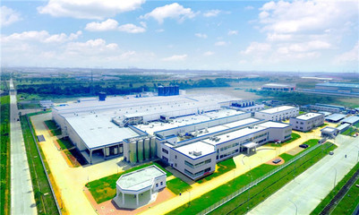 伊利攜手印尼，以科技守護紅樹林，共筑綠色未來